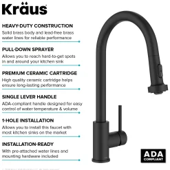 Clearance 2-Function Single Handle Pull Down Kitchen Faucet in Matte Black Single Hole