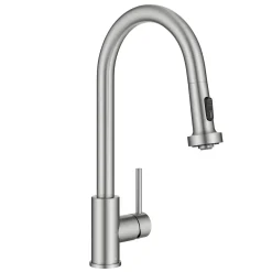 Online 2-Function Single Handle Pull Down Kitchen Faucet in Spot-Free Stainless Single Hole