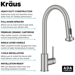 Online 2-Function Single Handle Pull Down Kitchen Faucet in Spot-Free Stainless Single Hole