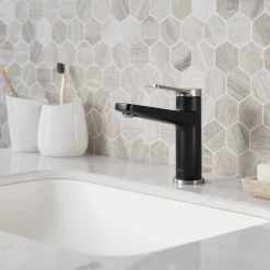 Online Indy Single Handle Bathroom Faucet with Matching Pop-Up Drain in Spot Free Stainless Steel/Matte Black/Matte Black Single Hole
