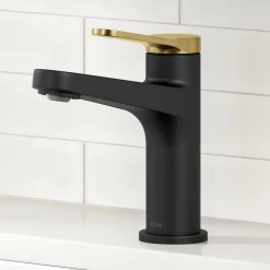 Indy Single Handle Bathroom Faucet in Matte Black with Brushed Brass Single Hole