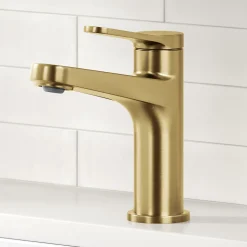 Indy Single Handle Bathroom Faucet in Spot-Free Brushed Brass Single Hole