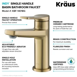 Outlet Indy Single Handle 2-Pack Bathroom Faucet in Brushed Gold Single Hole