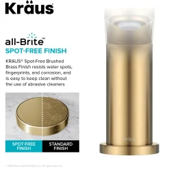 Online Indy Widespread Bathroom Faucet in Spot-Free Brushed Brass 8