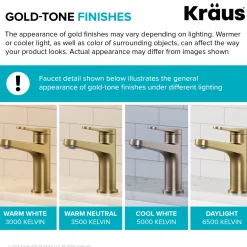 Online Indy Widespread Bathroom Faucet in Spot-Free Brushed Brass 8