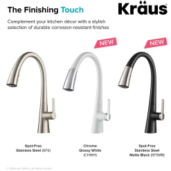Nolen Dual Function Pull-Down Kitchen Faucet in Chrome/White Single Hole