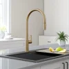 Online Oletto High-Arc Single Handle Pull-Down Kitchen Faucet in Spot Free Antique Champagne Bronze Single Hole