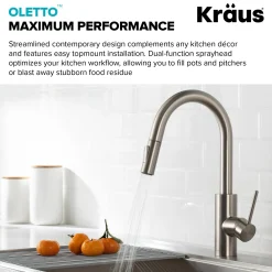 Discount Oletto Pull-Down Kitchen Faucet & Purita Water Filter Faucet in Spot Free Stainless Steel Single Hole|Water Filter Faucets