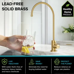 Best Oletto Pull-Down Kitchen Faucet & Purita Water Filter Faucet in Brushed Brass Single Hole|Water Filter Faucets
