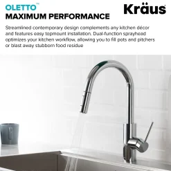 Sale Oletto Pull-Down Kitchen Faucet & Purita Water Filter Faucet in Chrome Single Hole|Water Filter Faucets