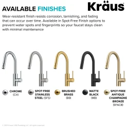 Oletto Pull-Down Single Handle Kitchen Faucet in Matte Black Single Hole