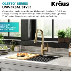 Discount Oletto Pull-Down Single Handle Kitchen Faucet in Spot Free Antique Champagne Bronze Single Hole|Bar Faucets