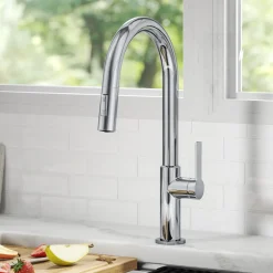 Outlet Oletto Single Handle Chrome Pull-Down Kitchen Faucet Single Hole