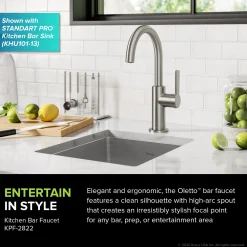 Sale Oletto Single Handle Kitchen Bar Faucet in Spot Free Stainless Steel Single Hole|Bar Faucets
