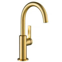 Discount Oletto Single Handle Kitchen Bar Faucet in Brushed Brass Single Hole|Bar Faucets