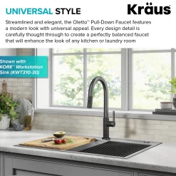 Best Oletto Single Handle Matte Black & Black Stainless Steel Pull-Down Kitchen Faucet Single Hole