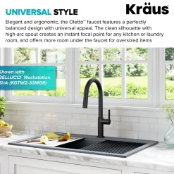 Best Oletto Single Handle Pull-Down Kitchen Faucet in Matte Black Single Hole