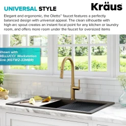 Sale Oletto Single Handle Pull-Down Kitchen Faucet in Brushed Brass Single Hole