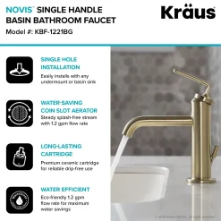 Discount Ramus Single Handle 2-Pack Bathroom Sink Faucet with Lift Rod Drain in Brushed Gold Single Hole