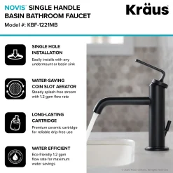 Online Ramus Single Handle 2-Pack Bathroom Sink Faucet with Lift Rod Drain in Matte Black Single Hole