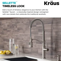 Online Sellette Commercial Style Pull-Down Kitchen Faucet with Deck Plate and Soap Dispenser in Spot Free Stainless Steel Single Hole