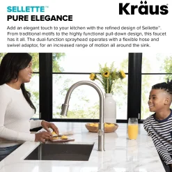 Sale Sellette Single Handle Pull Down Kitchen Faucet with Deck Plate and Soap Dispenser in Spot Free Stainless Steel Single Hole