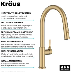 Hot Torak Single Handle Pull Down Kitchen Faucet in Brushed Brass Single Hole