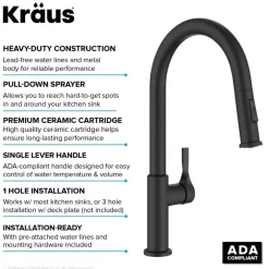 New Torak Single Handle Pull Down Kitchen Faucet in Matte Black Single Hole