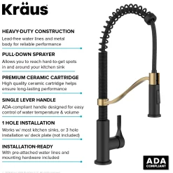 Torak Single Handle Pull Down Kitchen Faucet in Matte Black with Brushed Brass Single Hole