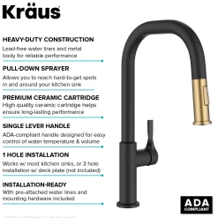 Clearance Torak Single Handle Pull Down Kitchen Faucet in Matte Black with Brushed Brass Single Hole