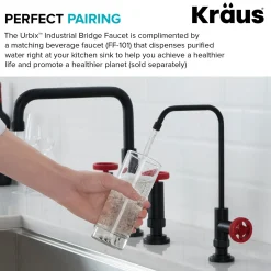 Discount Urbix Bridge Kitchen Faucet with Side Sprayer in Matte Black/Red Bridge Faucets