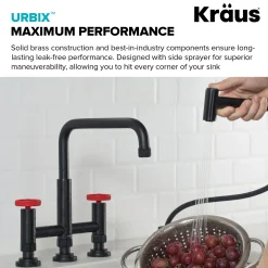 Discount Urbix Bridge Kitchen Faucet with Side Sprayer in Matte Black/Red Bridge Faucets