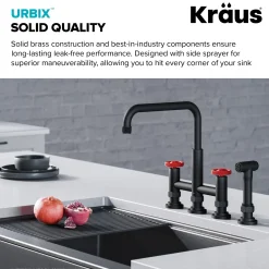 Best Urbix Industrial Bridge Kitchen Faucet & Water Filter Faucet in Matte Black/Red Water Filter Faucets|Bridge Faucets