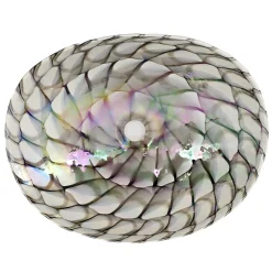 Sale 19" Glass Art Vessel Seashell Decorative Pattern Bathroom Sink - Nautilus Brown Above Counter / Vessel Sinks