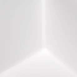 31 x 19